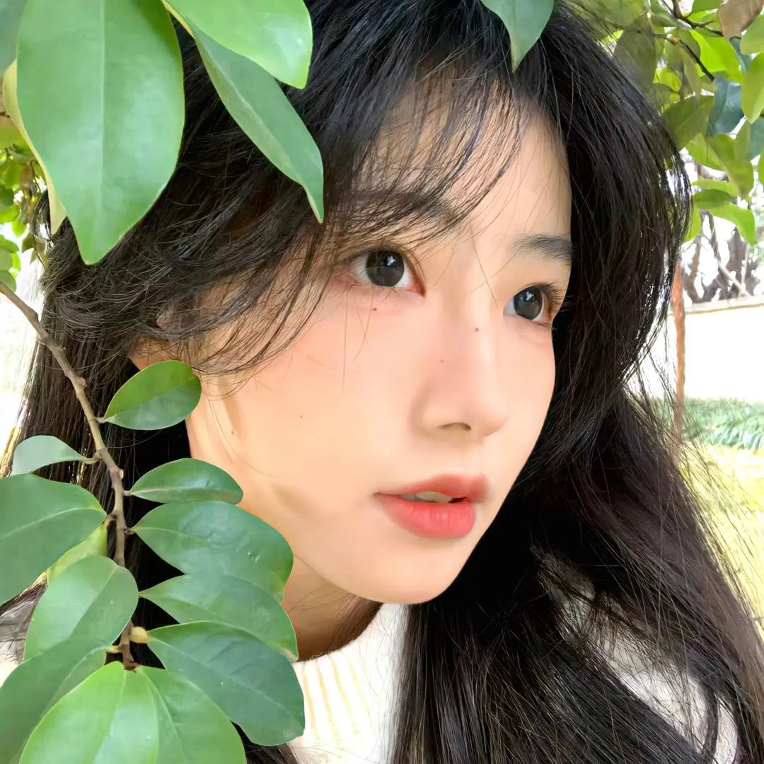 行人徒步区
